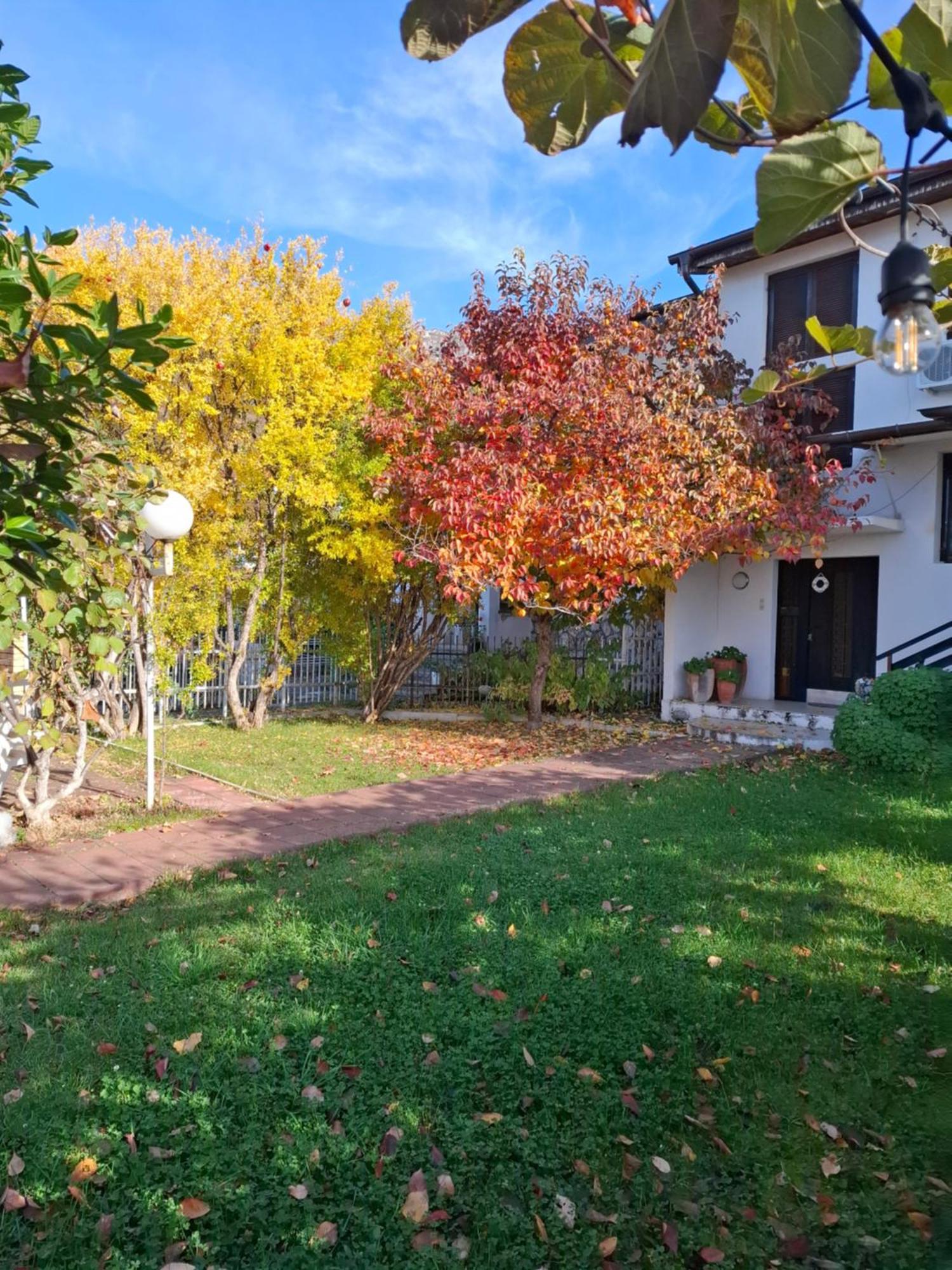 Apartments Villa Boris オフリド エクステリア 写真
